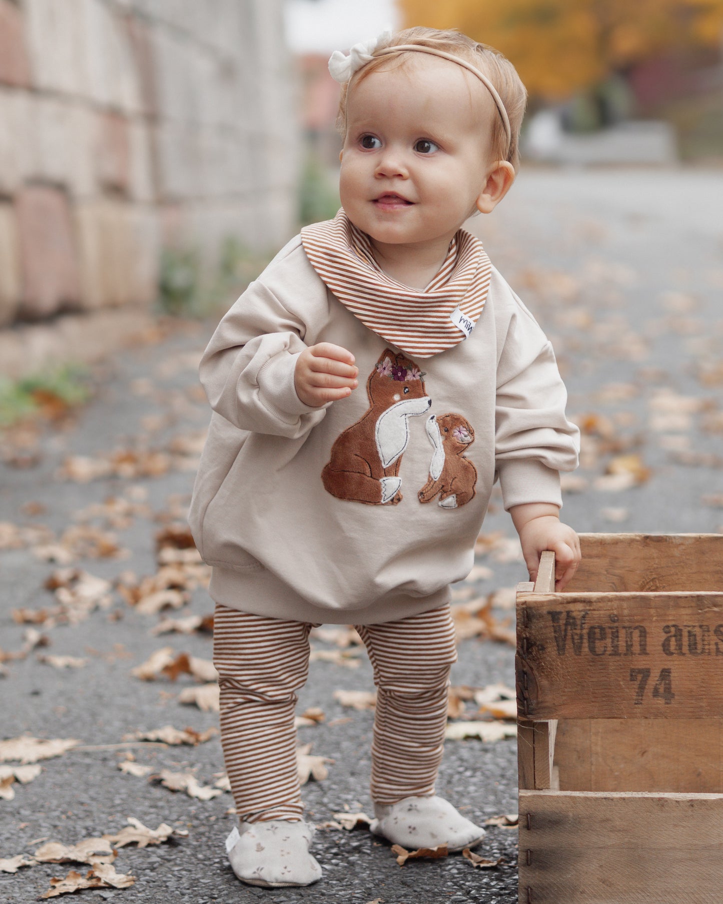 Fuchsfamilie Set