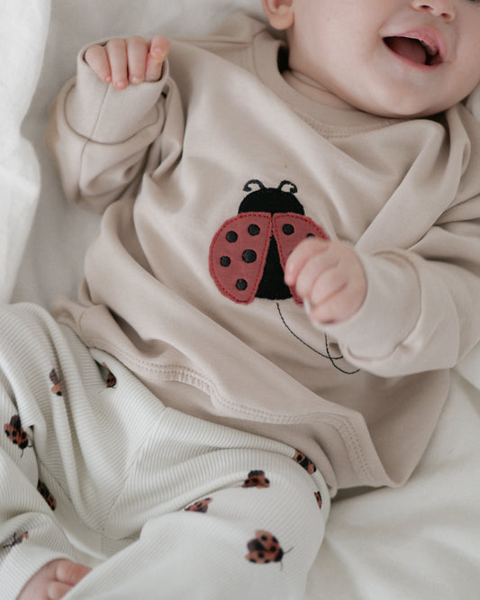 Little Ladybug Oversized Sweater/T-Shirt