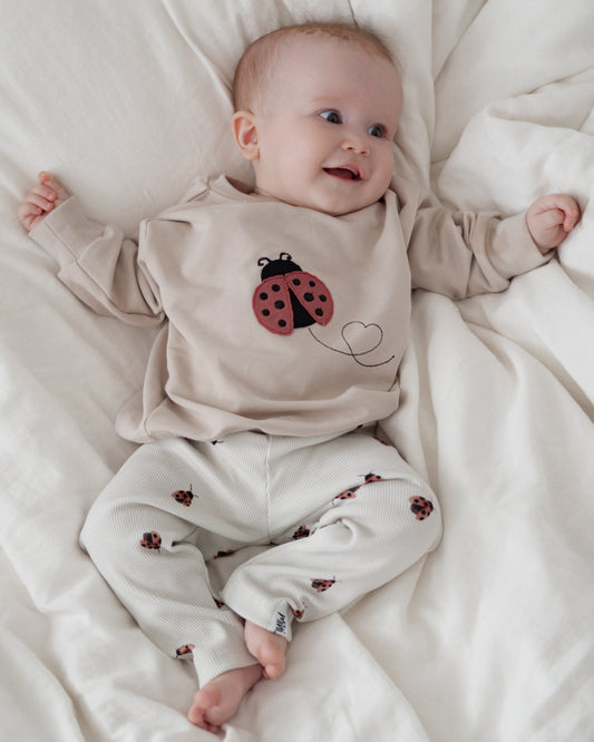 Little Ladybug Set