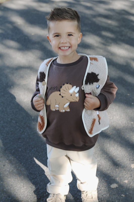 Dino Sweater
