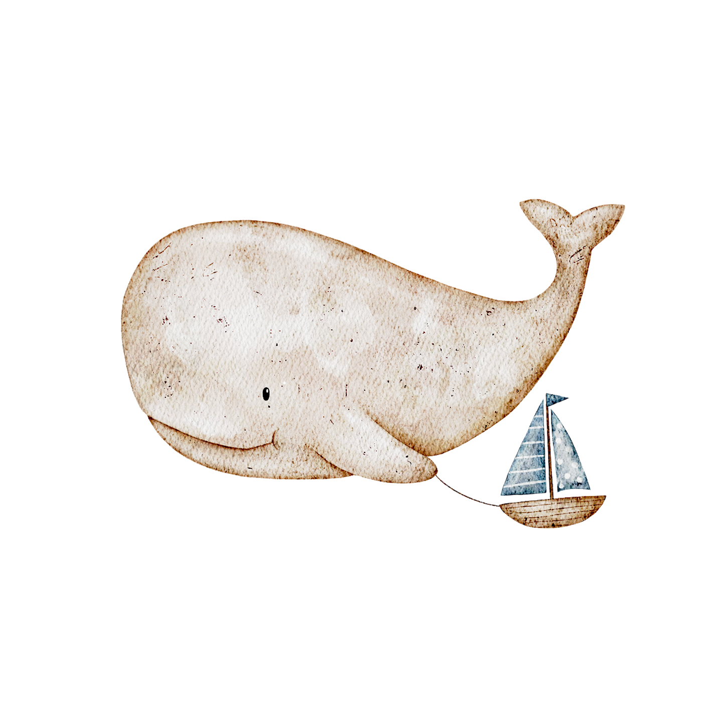 Cute Whale