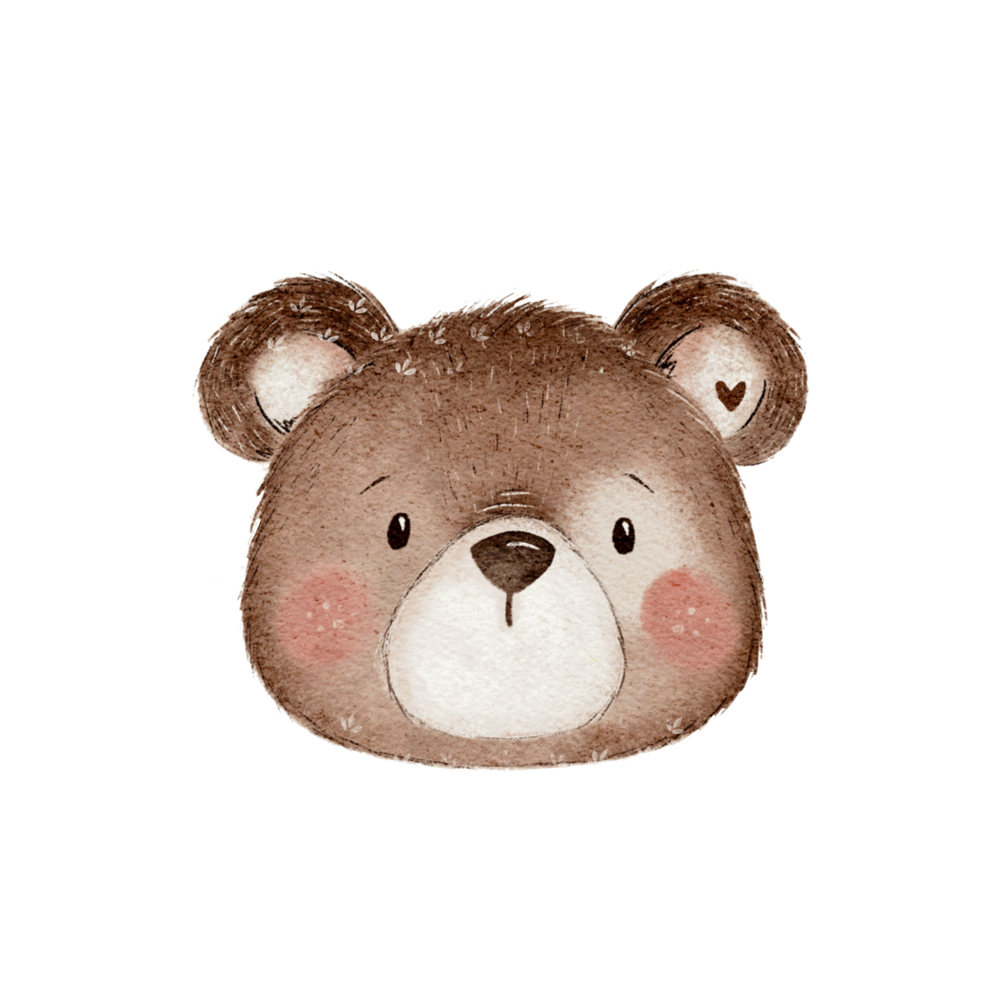 Cute Bear