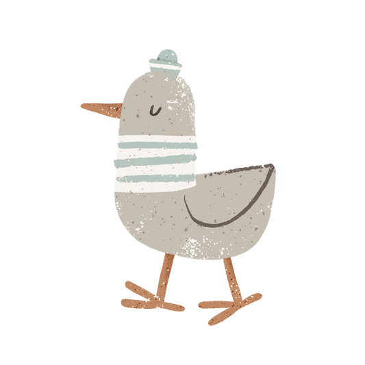 Möwe