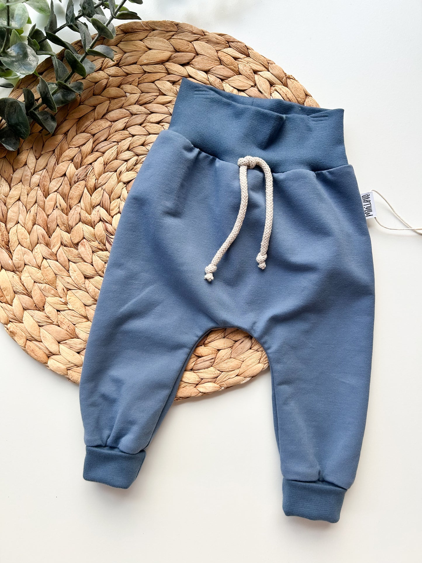 Blaue Hose (Wal und Bär)