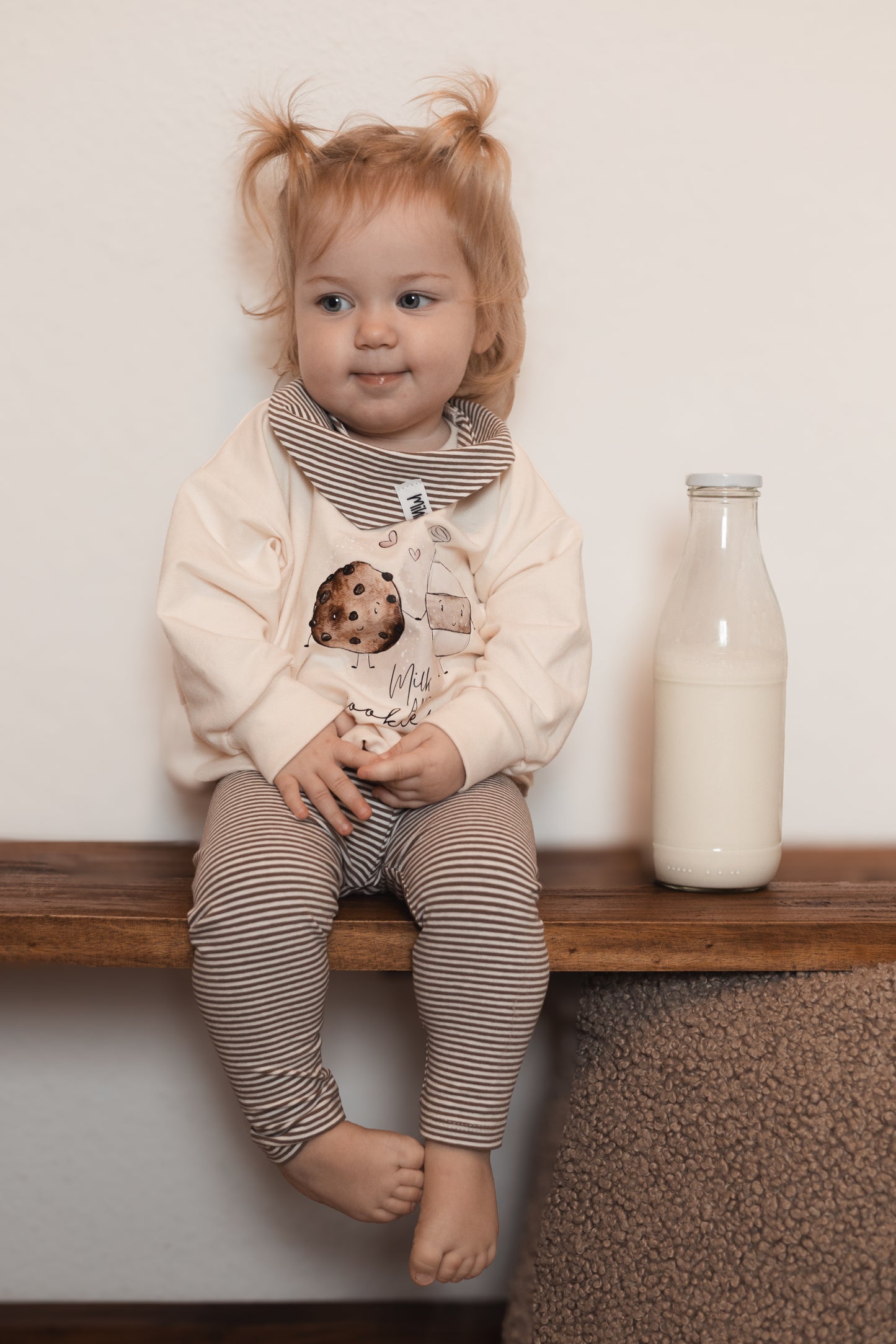 Milk and Cookies Set