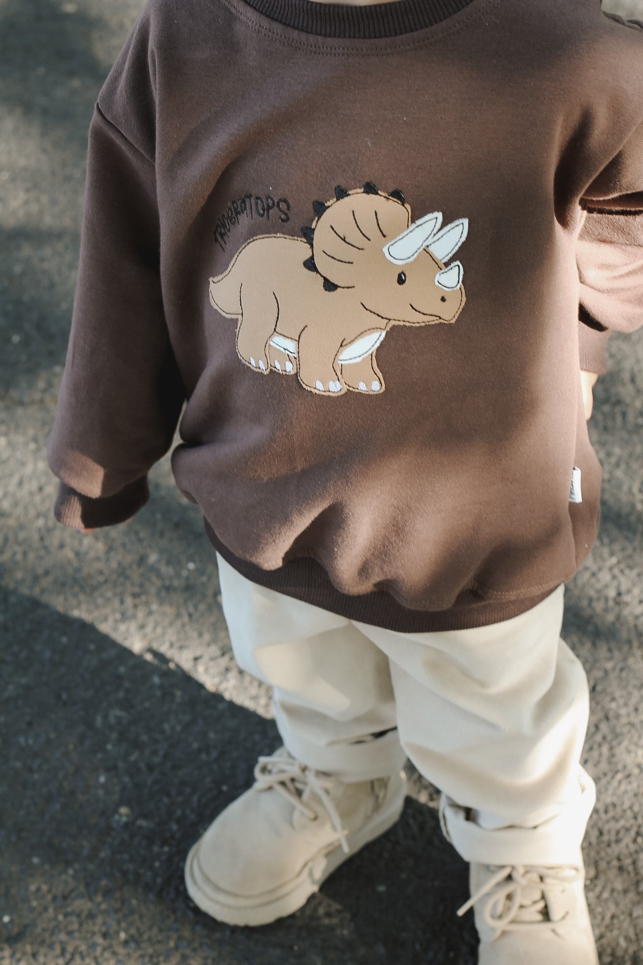 Dino Sweater