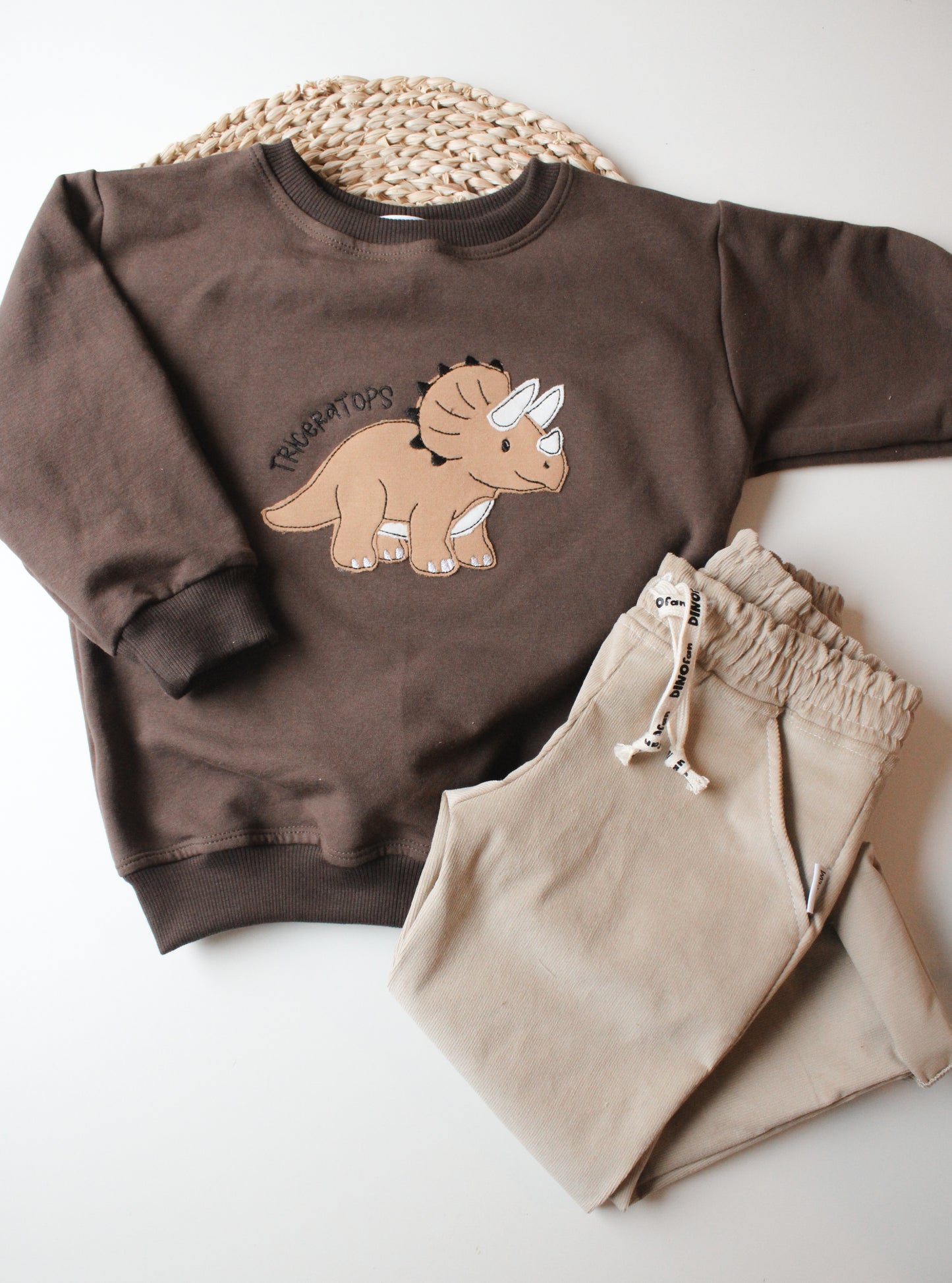 Dino Sweater